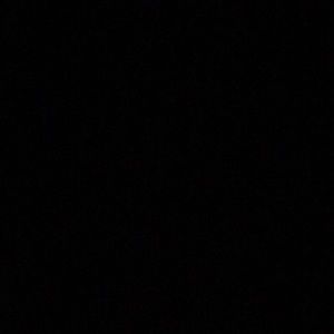 Meet your Posher, Rose